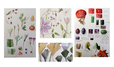 Listing cover image