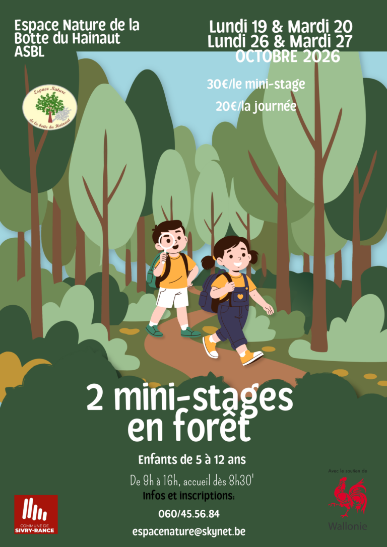 Mini-stages d’automne 2026