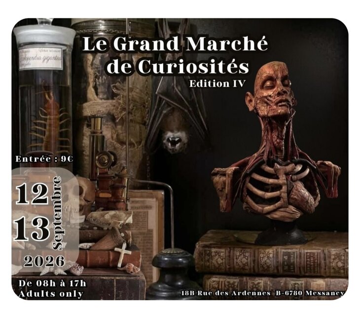 Le Grand Marché de Curiosités – Édition IV