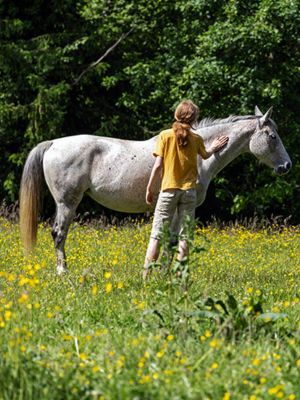 Conte “Bayard, le cheval fée” par l’asbl Volubilis