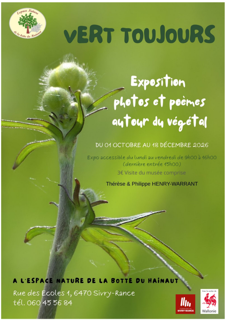 Vert toujours