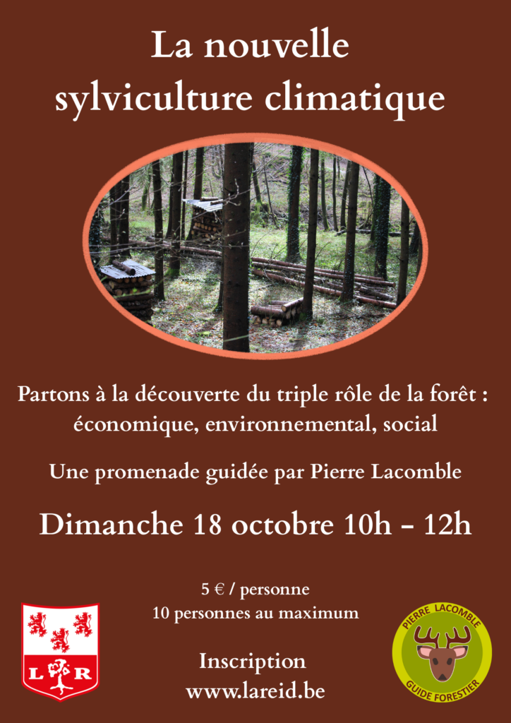 Promenade guidée en forêt : le triple rôle de la forêt