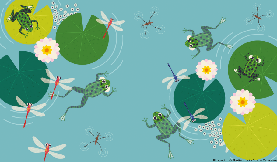 Listing cover image