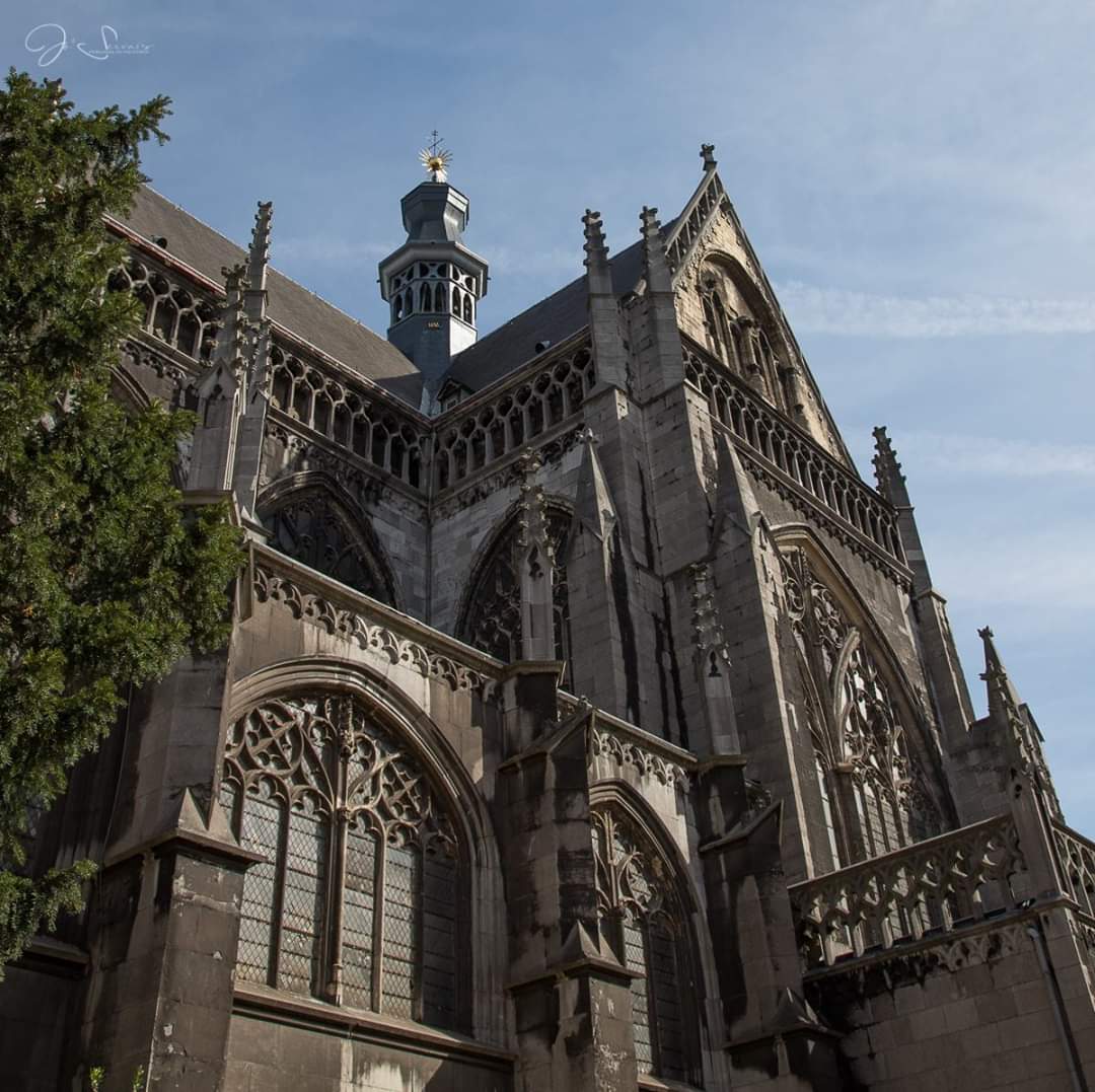 Balade découverte du cœur historique de Liège