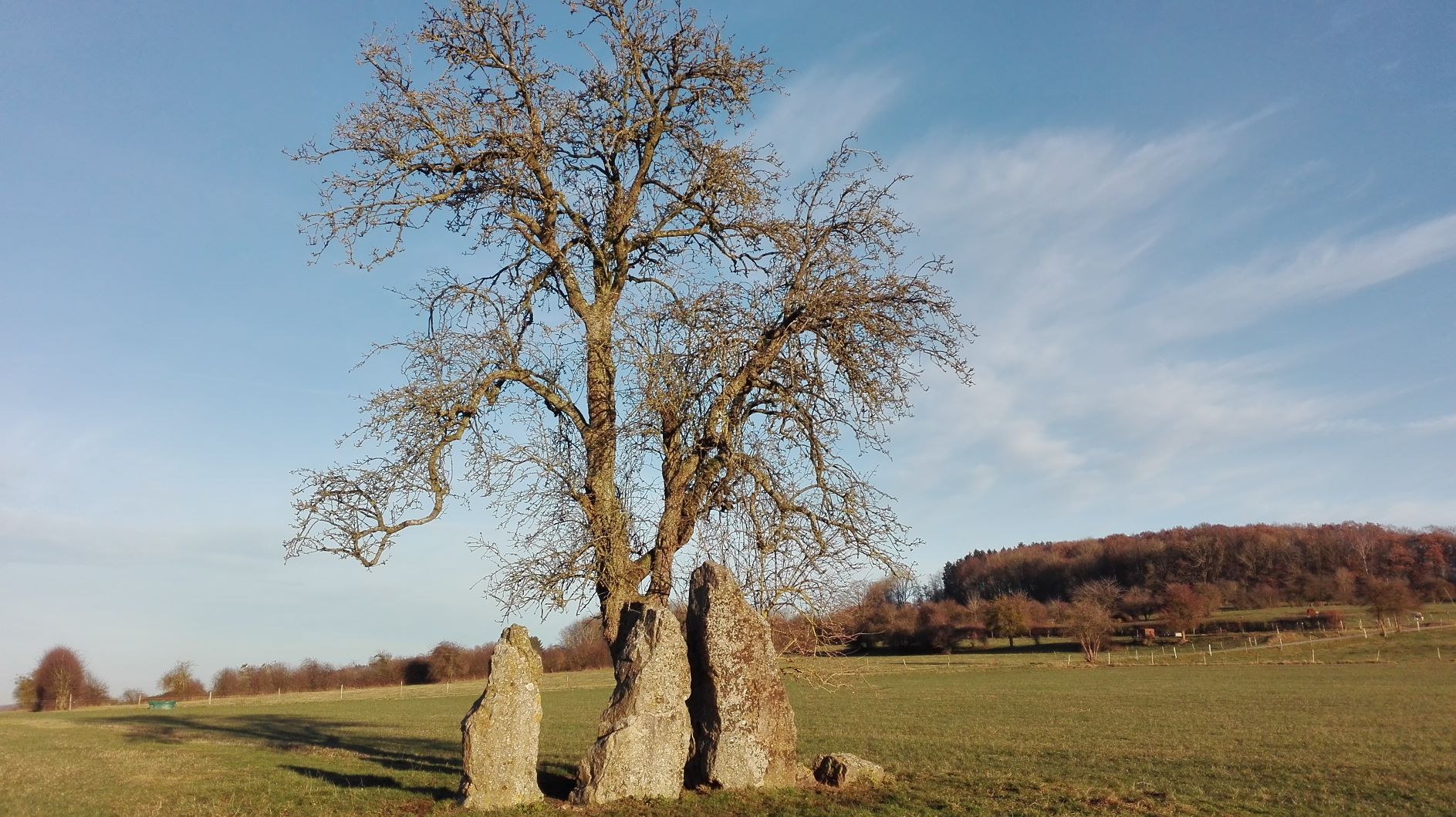 Balade à la découverte de Wéris et ses mégalithes