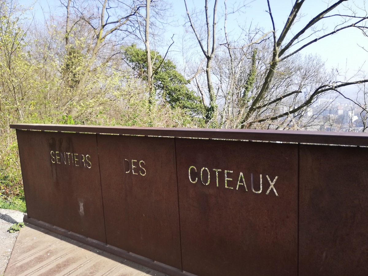 Balade découverte des coteaux de la Citadelle de Liège