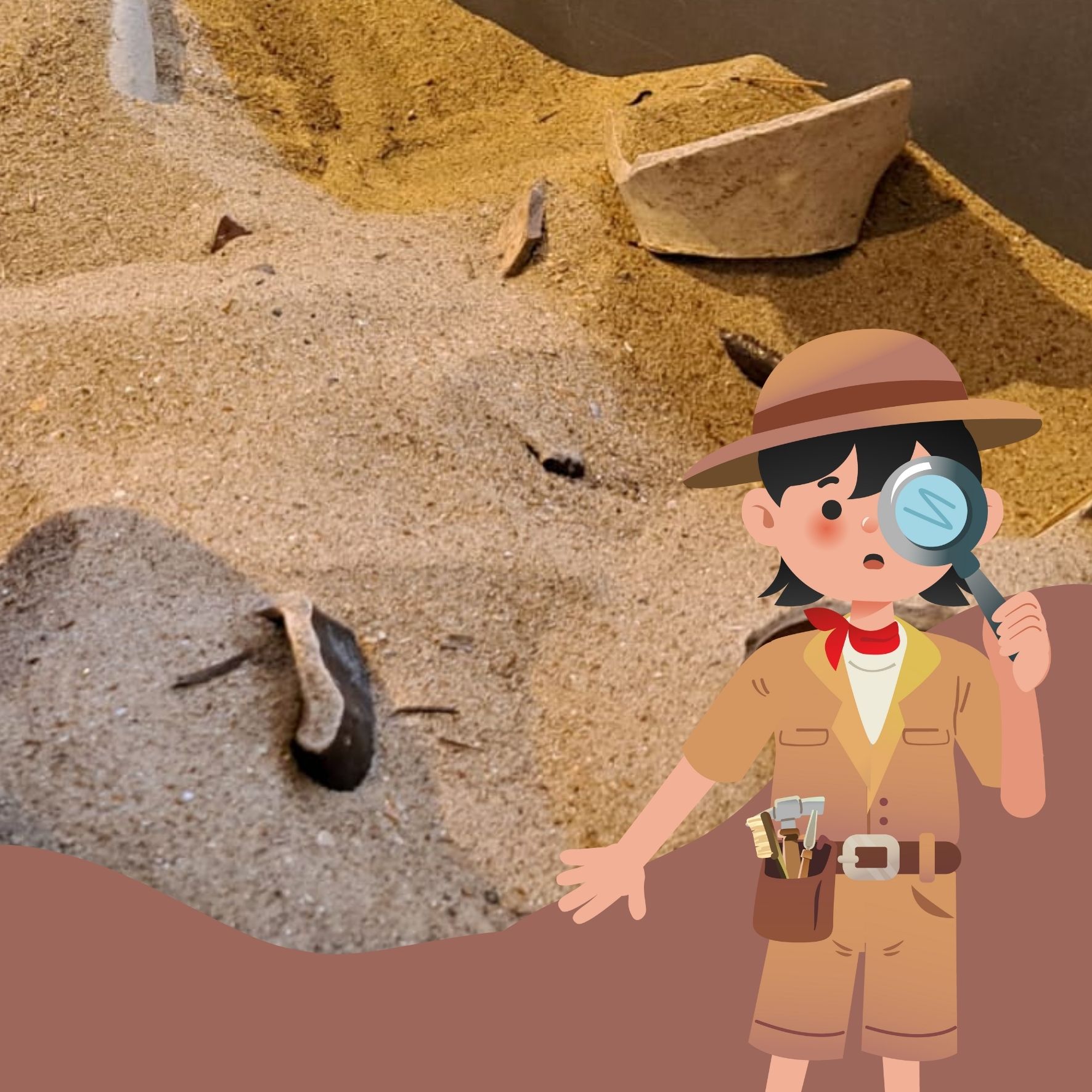 Visite flash : L’archéologie pour les curieux