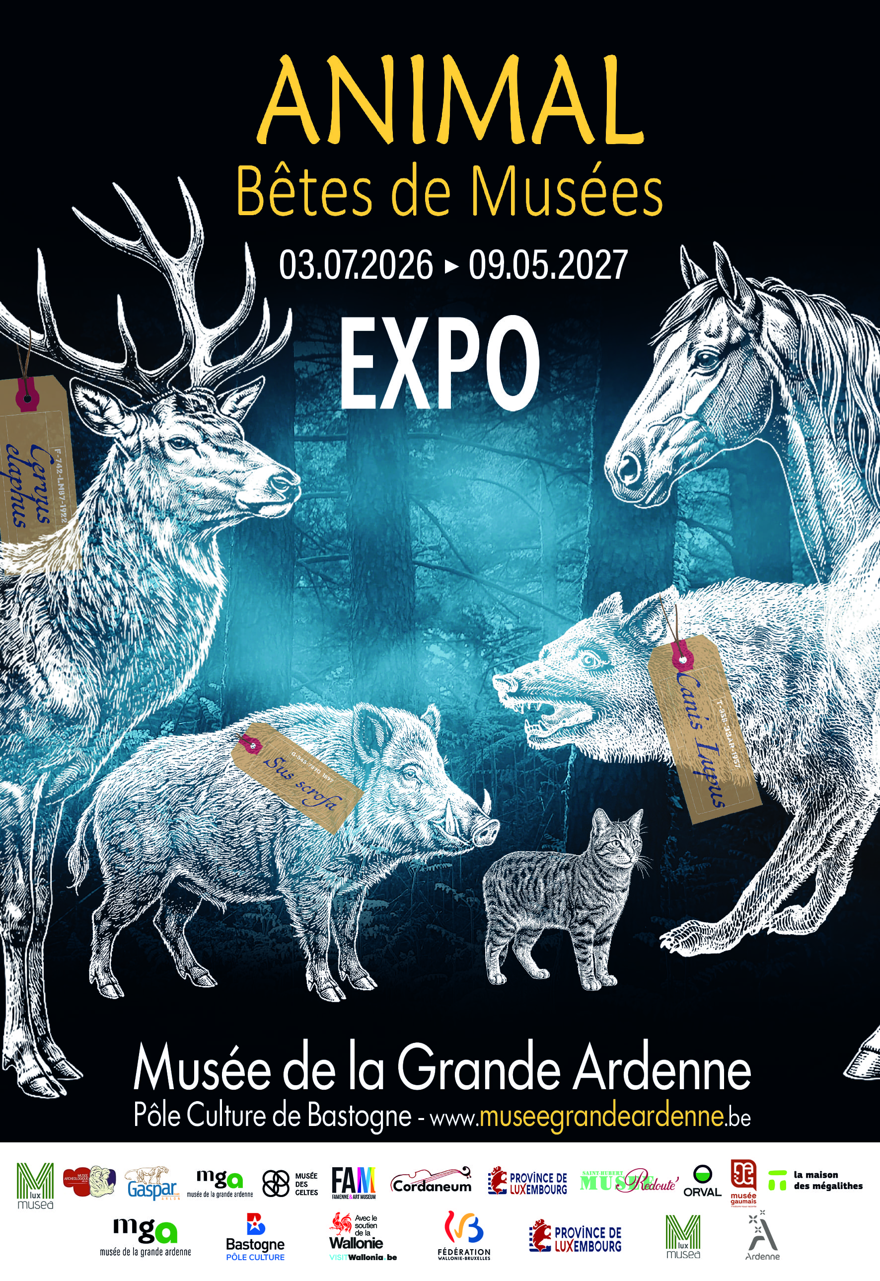 Animal. Bêtes de Musées