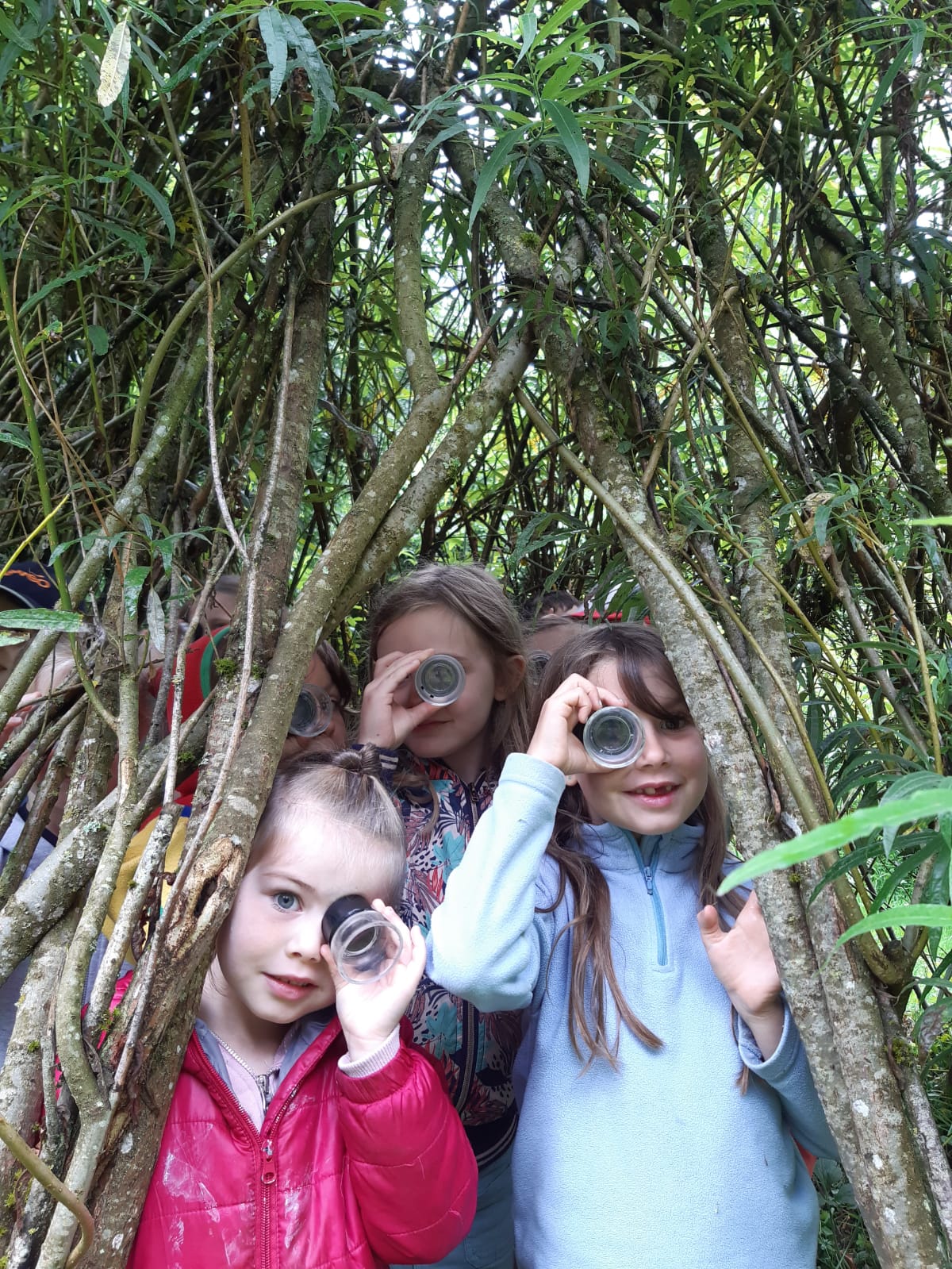 Stages nature : les aventures d’automne