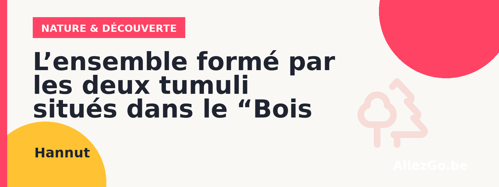 les deux tumuli situés dans le “Bois des Tombes” et leurs abords